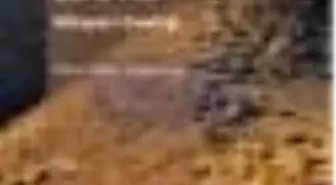 Ca Yo Ke Tij Ti Ra Bena Vila Kitabı