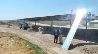 Altıntaş Modern Hayvan Pazarına Kavuşuyor