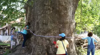 Öğrenciler Yeşil Devleri Arıyor