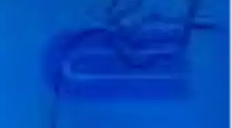 Şiirin İlkeleri Sen Sev Beni Seyirci Sahneye Çıkıyor Kitabı