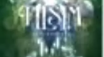 Tılsım 4. Kitap - Son Konsey Kitabı