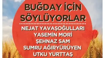 'Buğday İçin Söylüyorlar'