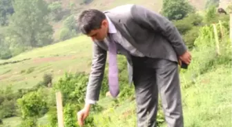 Kavak'ta Fidan Bakımının Önemi Anlatıldı