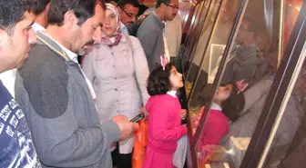 Çanakkale Şehitlik Gezici Savaş Müzesi Malatya'da