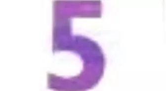 Yasakmeyve Sayı: 5 İki Aylık Şiir Dergisi Kitabı