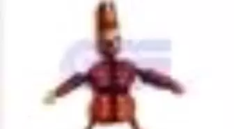 Evrensel Kültür Sayı: 243 Kitabı