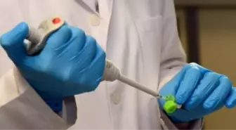 Bilim Adamları En Çok Kanser İçin Uğraşıyor