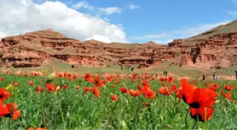 UNESCO'ya İki Aday Daha