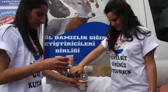 Bingöl'de Bin 500 Litre Süt Dağıtıldı