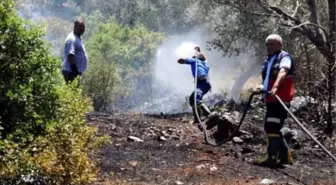 Bodrum'da Orman Yangını