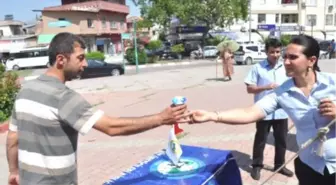 Dünya Süt Haftası