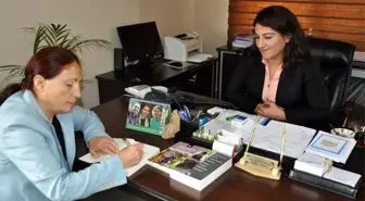 Eğitimci Yazar Gülçiçek Günel Tekin, Salman'ı Ziyaret Etti