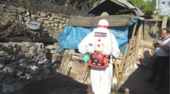 Uludere'de Kuduz Vakası