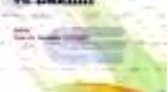 Yaşlılarda Güncel Sağlık Sorunları ve Bakımı Kitabı