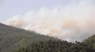 Yenice'de 80 Hektar Orman ve Maki Küle Döndü