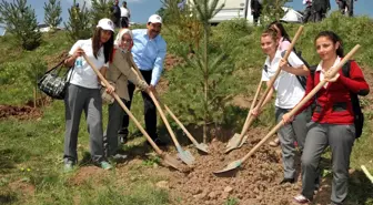 Keçiören Başkanı Ak, Gençlerle Birlikte Fidan Dikti