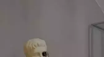 Çıkma Organlar Seramiğe Dönüştü