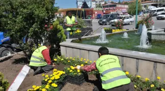 Merzifon Belediyesi 100 Bin Çiçek Dikti