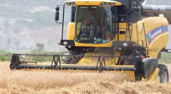 TMO'da Randevulu Alım Dönemi