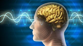 Alzheimer Önlenemez Ama Yıllarca Ötelenebilir