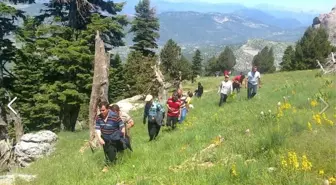 Tapanlılar Kültür Yürüyüşü Düzenledi