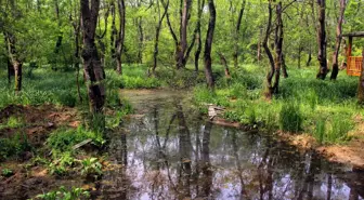 Çakırlar Büyütülecek