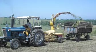 Ot Silaj Yapımına Başlandı