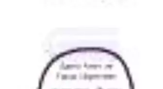 İdea Sayı: 2 İnsan Bilimleri Dergisi Kitabı