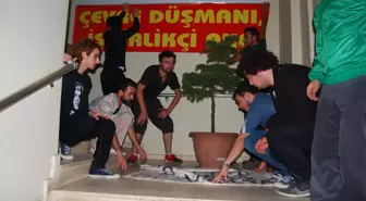 Ordu'dan Gezi Parkı'na Destek Eylemi