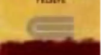 Yeni Bir Siyaset İçin Felsefe Kitabı