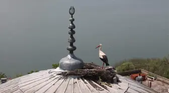 Leylek Şenliği Büyüledi