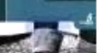 Sen Yola Düşende Kitabı