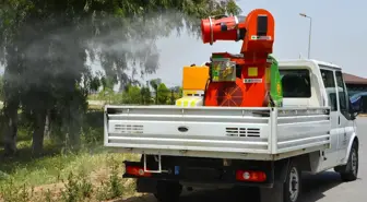 Belediyeler Artık Teknoloji Kullanarak Haşerelerle Mücadele Ediyor