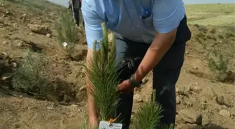 Anaokulu Öğrencileri Fidan Dikti