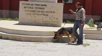 MGK Genel Sekreteri Türker Hakkari'de