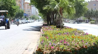 Kilis'in Rengi Değişiyor