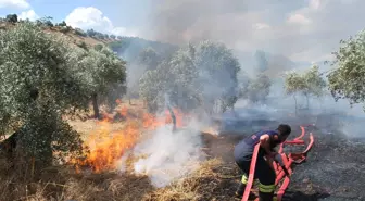 Bunun Adı Yangın Değil Vicdansızlık