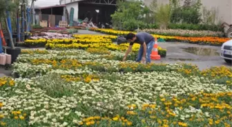 300 Bin Çiçek Şehri Güzelleştirecek