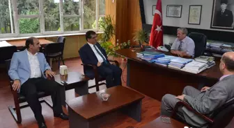 Dağ İlçelerine Bölünmüş Yol