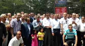 Geleneksel Kumrulular Pikniği Kemerburgaz'da Yapıldı