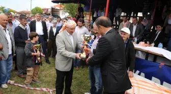 Hacıkebir'de Rahvan At Yarışları