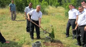 Sağlık Personelinden Çevre Günü Etkinliği