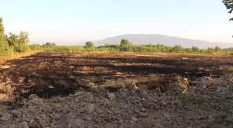 10 Dönüm Tarım Arazisi Kül Oldu