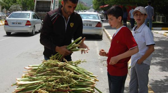 'Doğu'nun Muzu Uçkunun Kilosu 10 Lira