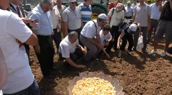 Muğla'da Toprak Bayramı Kutlandı