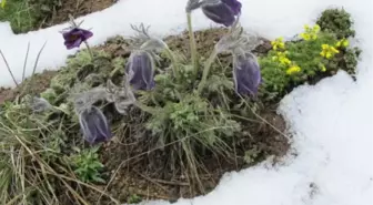 Ağrı Belediyesi Dağcıları Kösedağ Tırmanışı Yaptılar