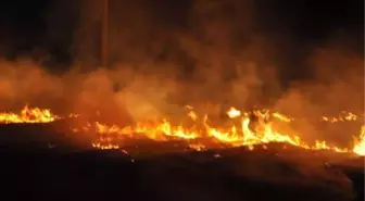 Harran'da Korkutan Anız Yangını