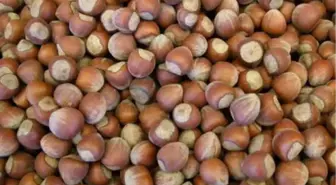 Fındığın Ekmek ve Çikolata Üretiminde Değerlendirilmesi İsteği