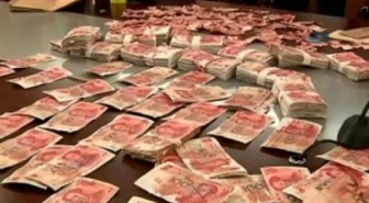 65 Bin Dolarını Böcekler Yedi