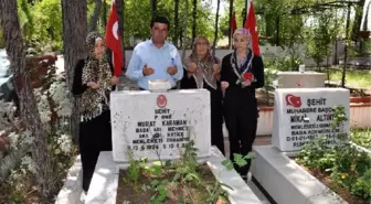 Hollandalı Kız, Şehit Nişanlısının Mezarında
